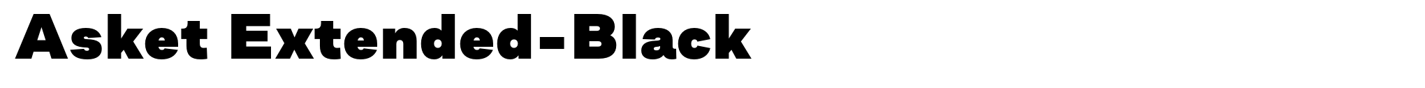 Asket Extended-Black image
